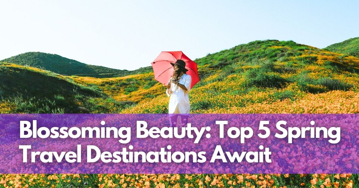 Cover Image for Blossoming Beauty: Top 5 Spring Travel Destinations Await