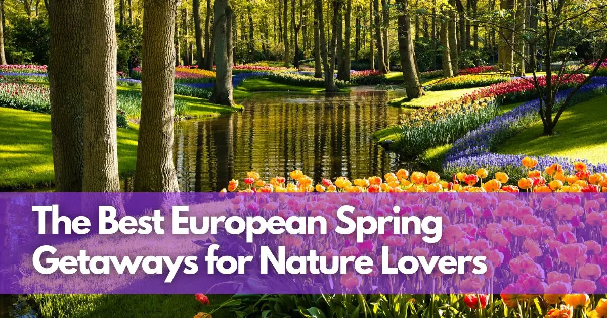 Cover Image for Destinations in Bloom: The Best European Spring Getaways for Nature Lovers