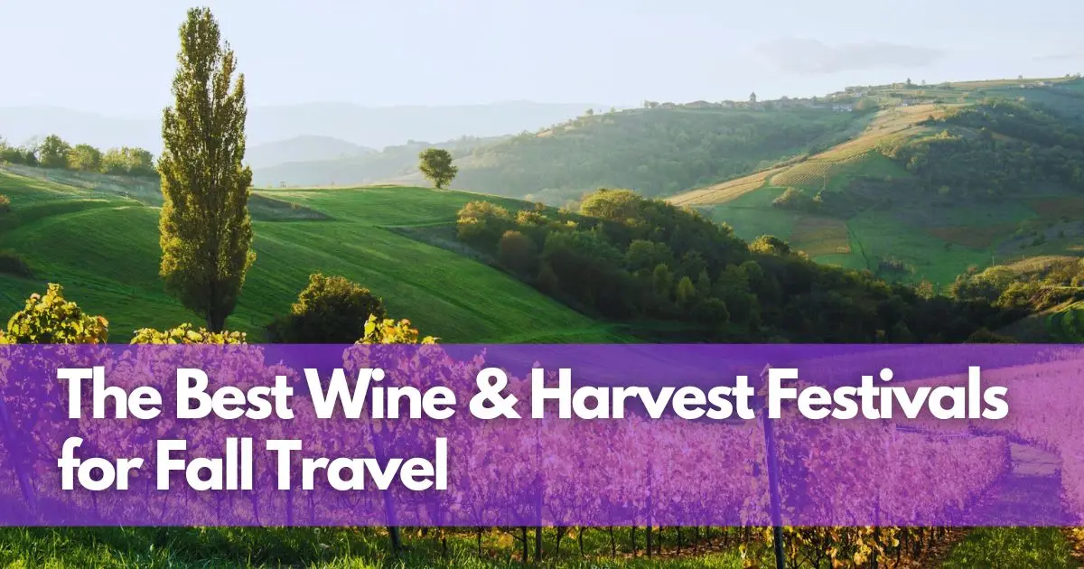 Cover Image for Sip, Savor & Celebrate: The Best Wine & Harvest Festivals for Fall Travel