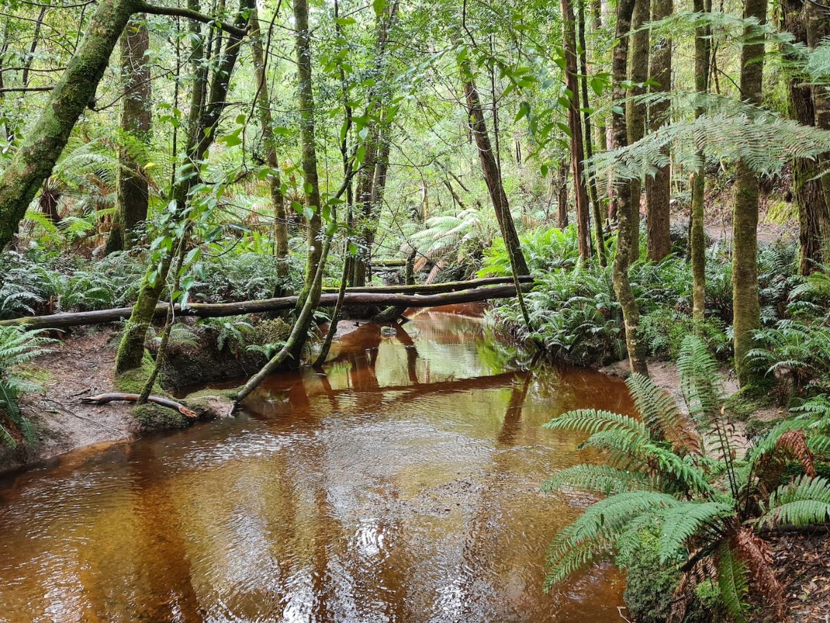 Tasmania in Australia has More to Offer Than Devil's